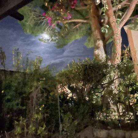 Studio Bandol Avec Jardin מראה חיצוני תמונה
