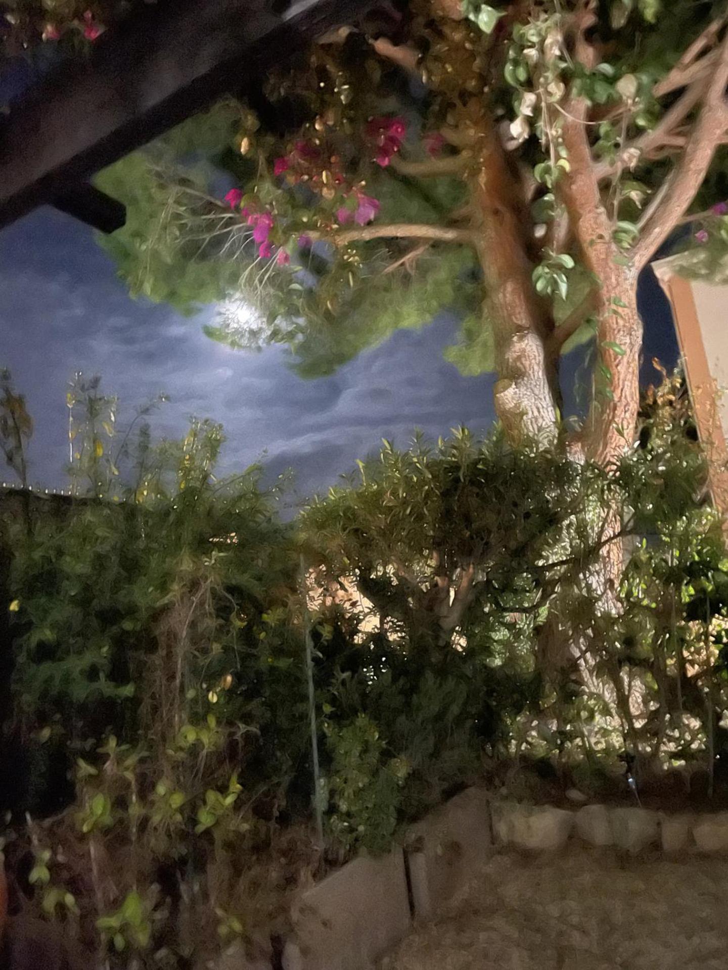 Studio Bandol Avec Jardin מראה חיצוני תמונה